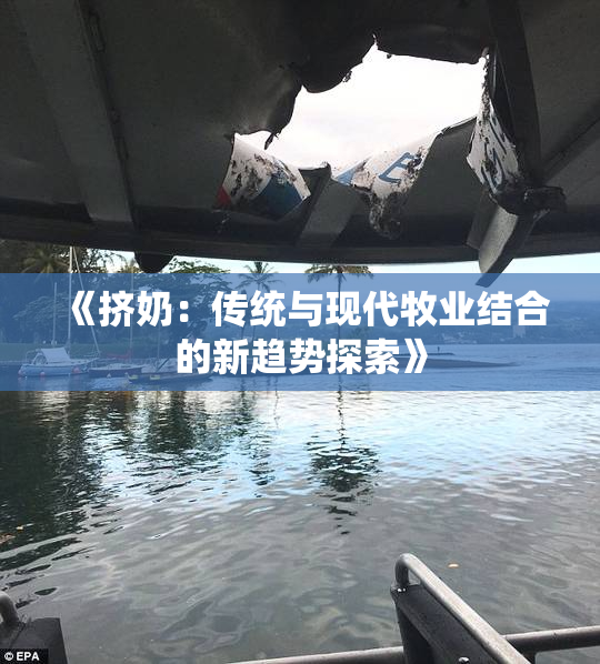《挤奶：传统与现代牧业结合的新趋势探索》