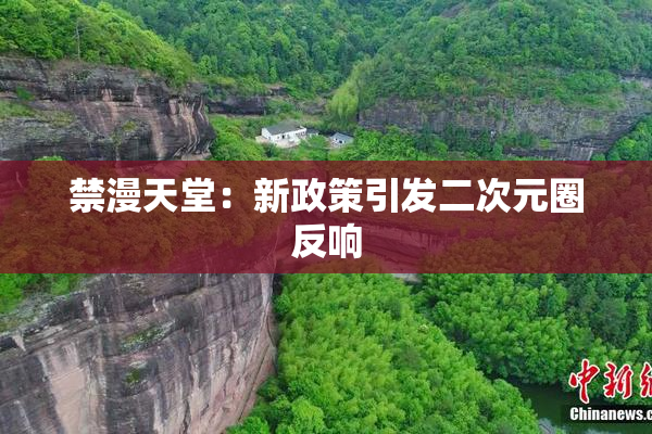 禁漫天堂：新政策引发二次元圈反响
