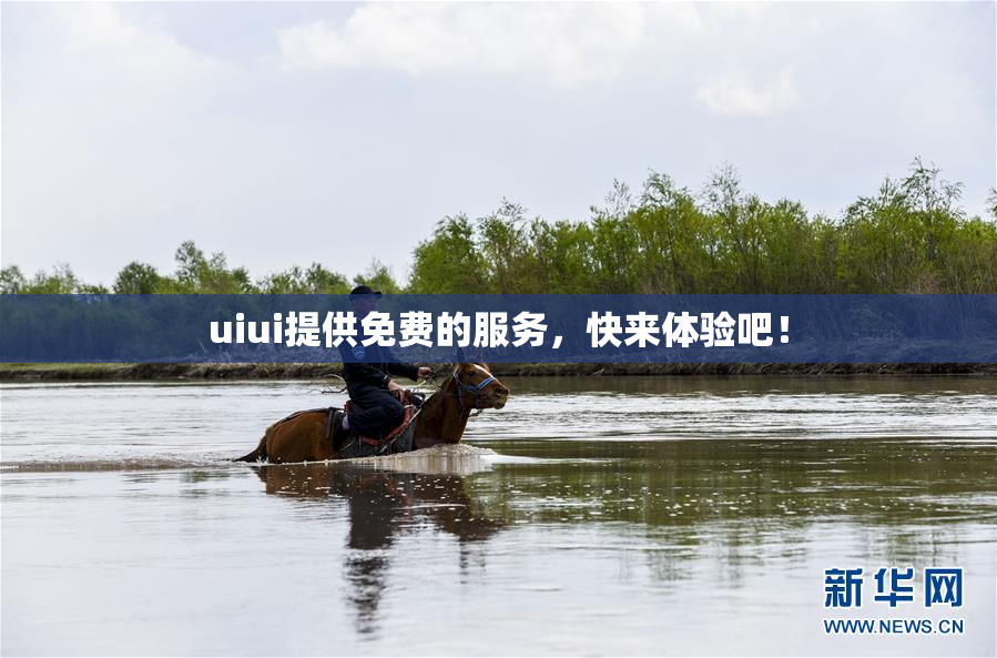uiui提供免费的服务，快来体验吧！