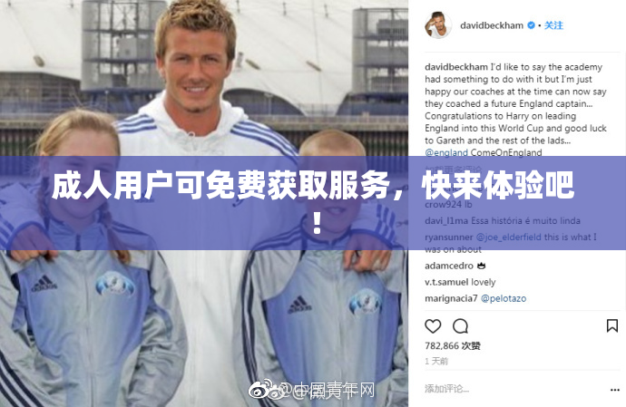 成人用户可免费获取服务，快来体验吧！