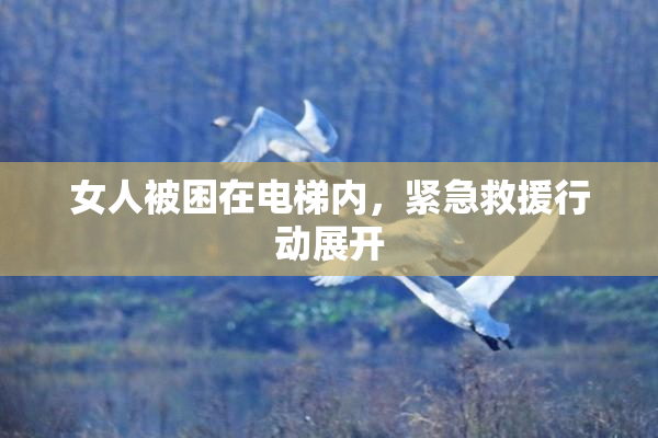 女人被困在电梯内，紧急救援行动展开