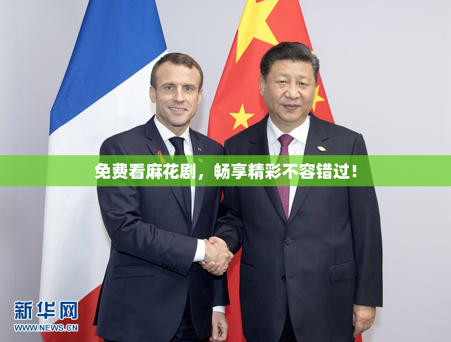 免费看麻花剧，畅享精彩不容错过！