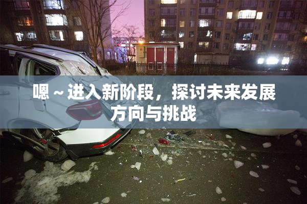 嗯～进入新阶段，探讨未来发展方向与挑战