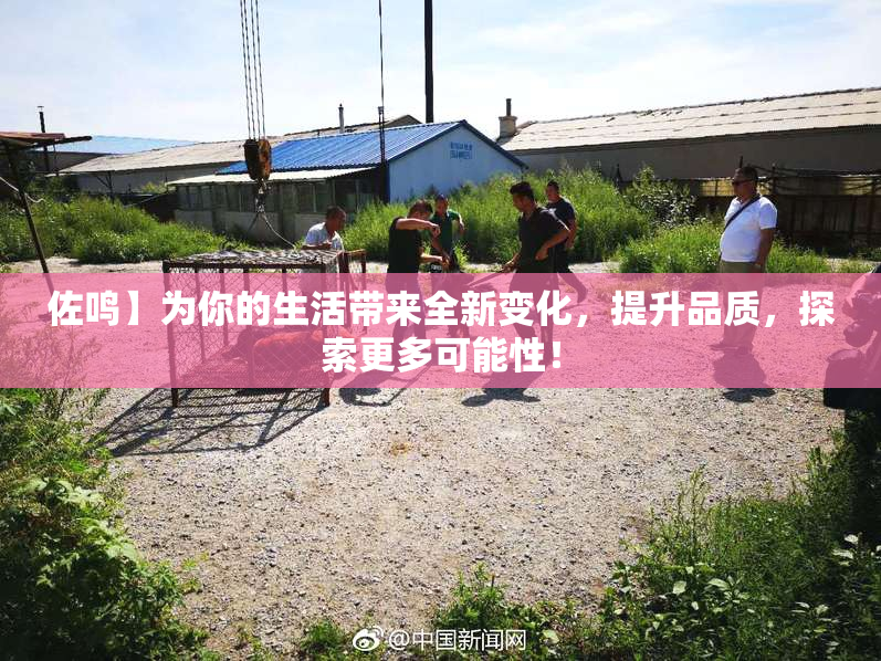 佐鸣】为你的生活带来全新变化，提升品质，探索更多可能性！