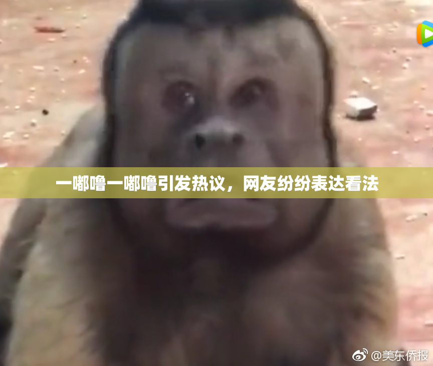 一嘟噜一嘟噜引发热议，网友纷纷表达看法