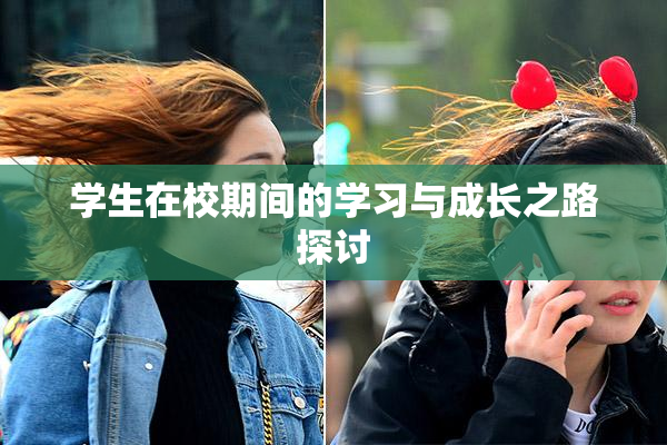 学生在校期间的学习与成长之路探讨
