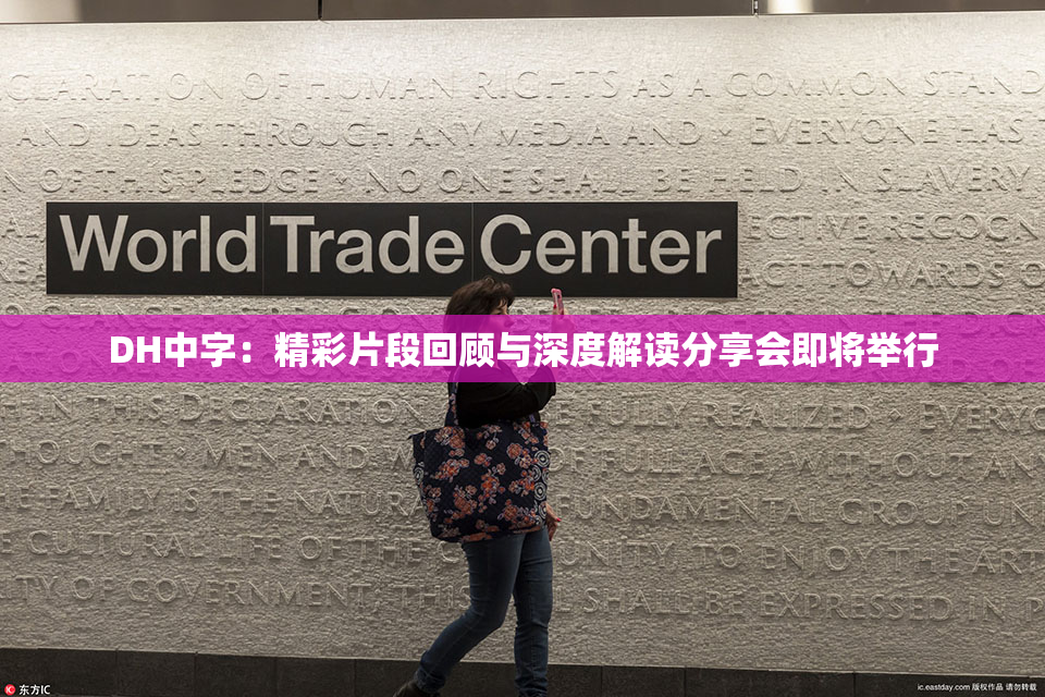 DH中字：精彩片段回顾与深度解读分享会即将举行