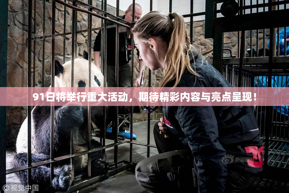 91日将举行重大活动，期待精彩内容与亮点呈现！