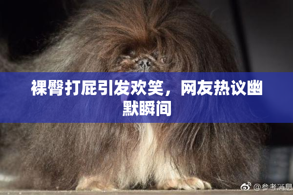 裸臀打屁引发欢笑，网友热议幽默瞬间