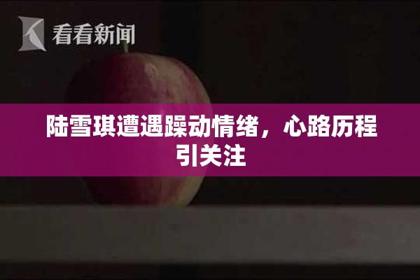 陆雪琪遭遇躁动情绪，心路历程引关注