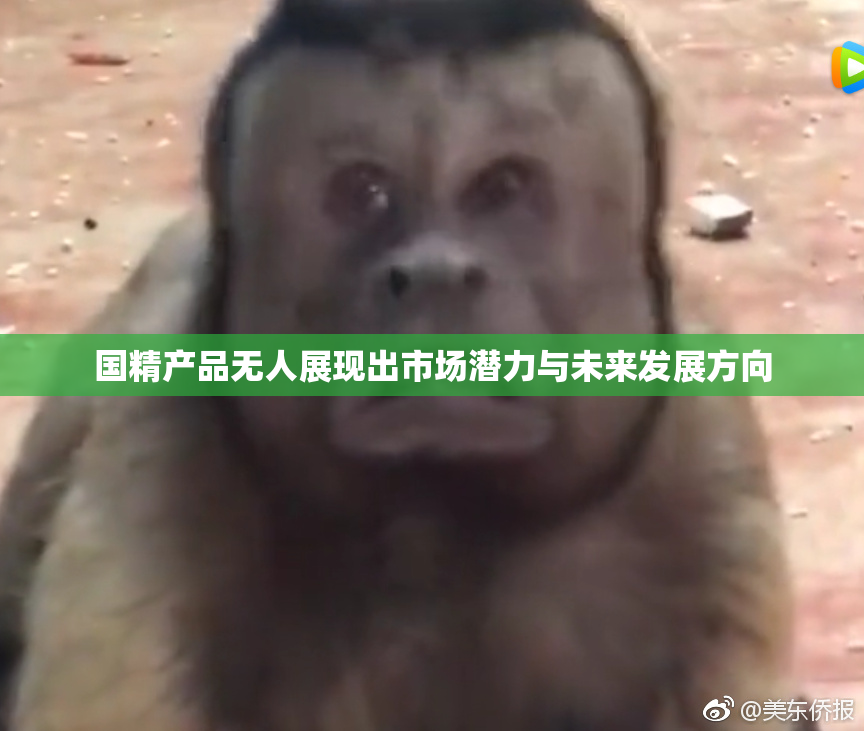 国精产品无人展现出市场潜力与未来发展方向