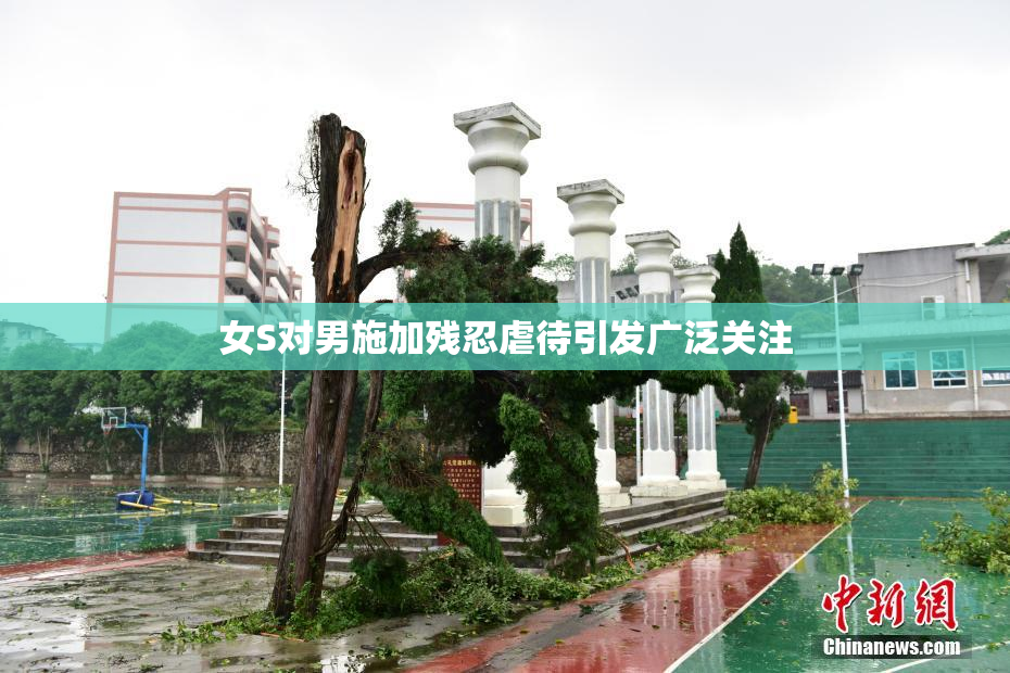 女S对男施加残忍虐待引发广泛关注