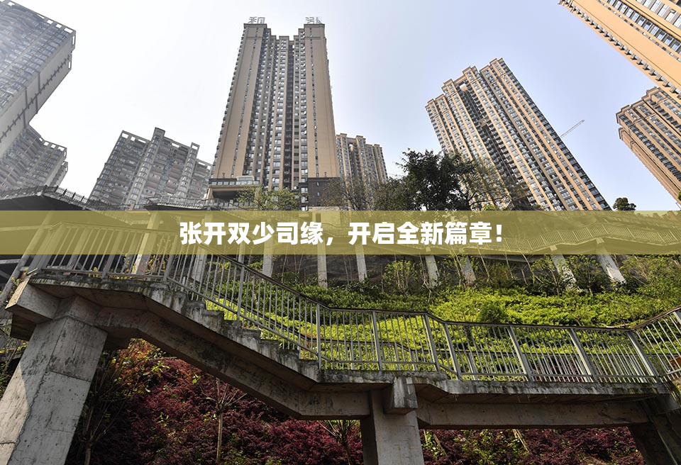 张开双少司缘，开启全新篇章！