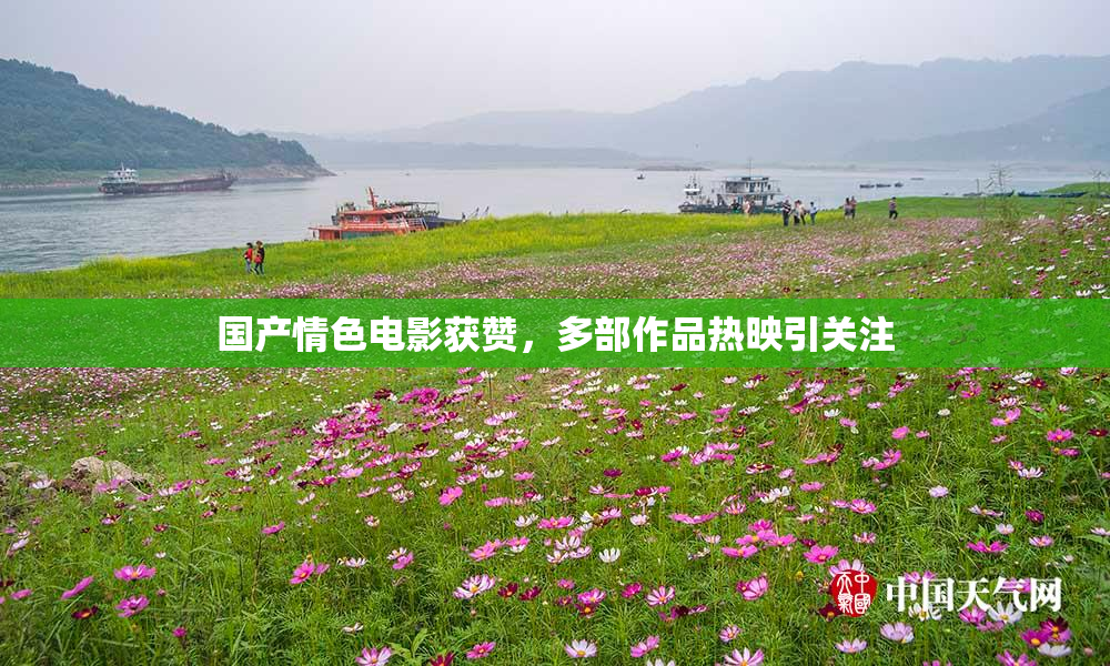 国产情色电影获赞，多部作品热映引关注