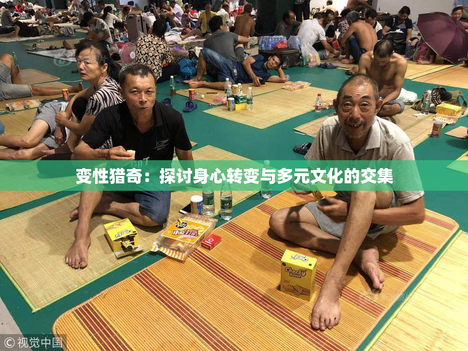变性猎奇：探讨身心转变与多元文化的交集