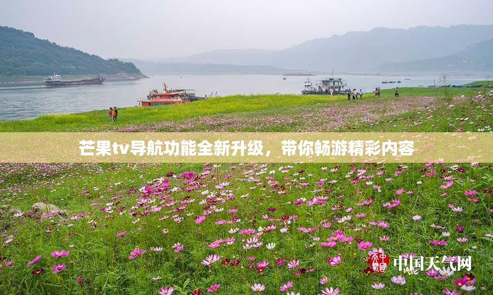 芒果tv导航功能全新升级，带你畅游精彩内容