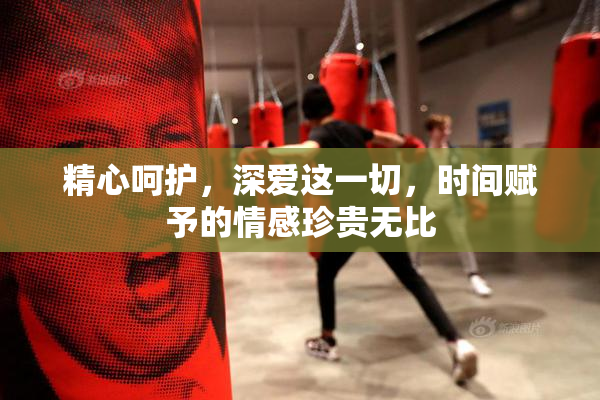 精心呵护，深爱这一切，时间赋予的情感珍贵无比