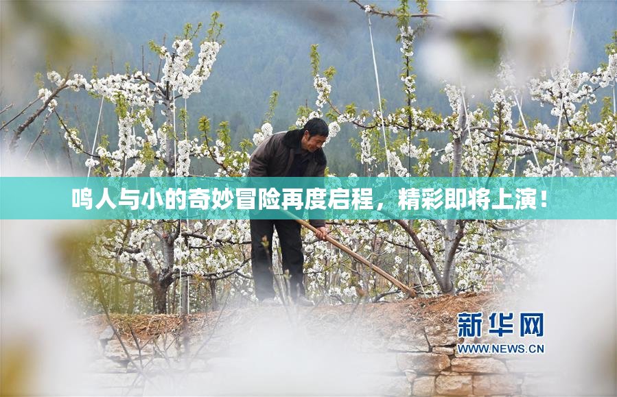 鸣人与小的奇妙冒险再度启程，精彩即将上演！