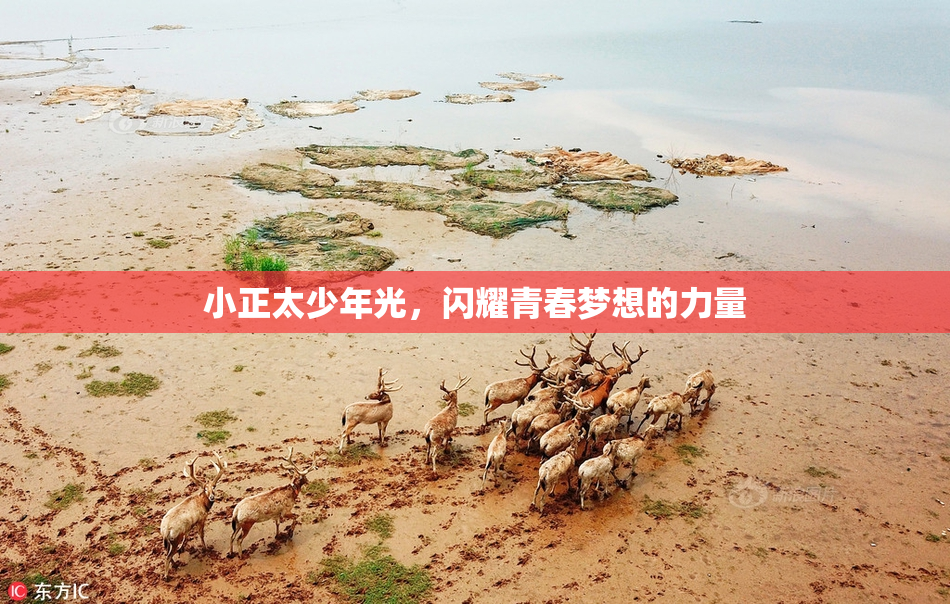 小正太少年光，闪耀青春梦想的力量