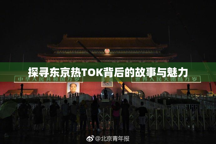 探寻东京热TOK背后的故事与魅力
