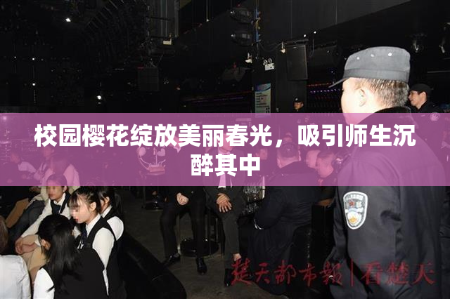 校园樱花绽放美丽春光，吸引师生沉醉其中