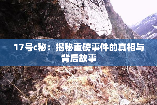 17号c秘：揭秘重磅事件的真相与背后故事