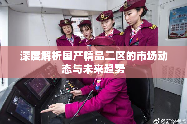 深度解析国产精品二区的市场动态与未来趋势