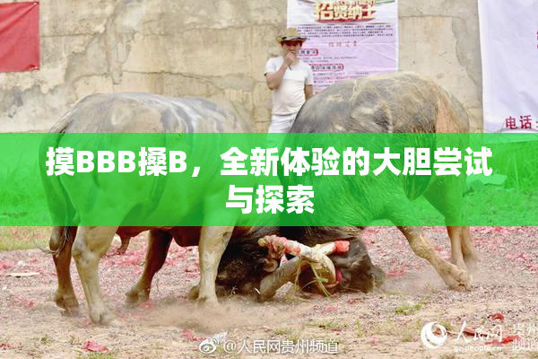 摸BBB搡B，全新体验的大胆尝试与探索