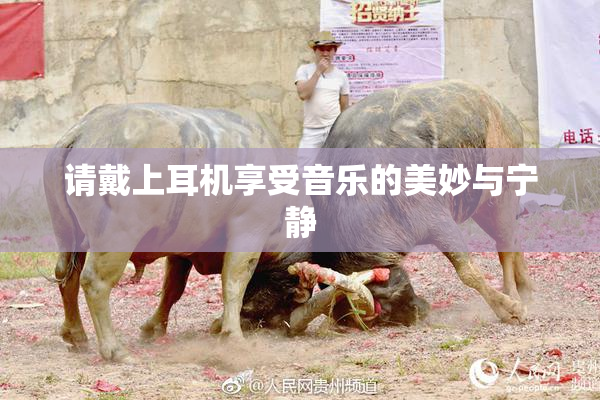 请戴上耳机享受音乐的美妙与宁静