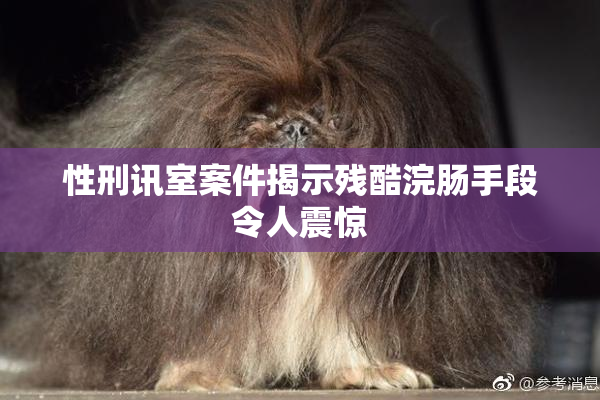 性刑讯室案件揭示残酷浣肠手段令人震惊