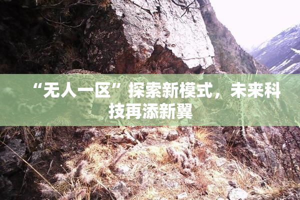 “无人一区”探索新模式，未来科技再添新翼