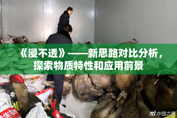 《浸不透》——新思路对比分析，探索物质特性和应用前景