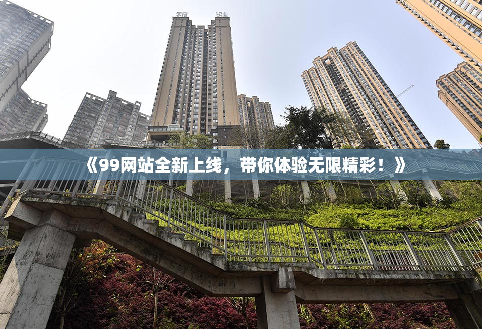 《99网站全新上线，带你体验无限精彩！》