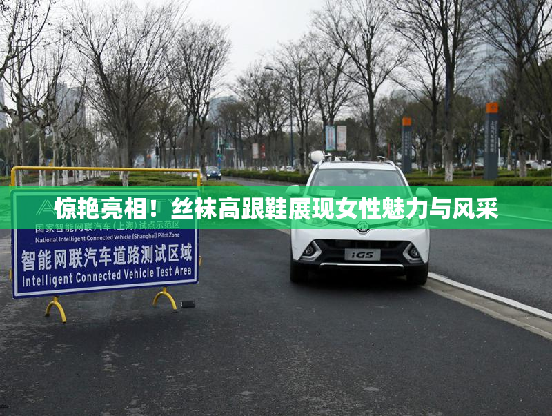 惊艳亮相！丝袜高跟鞋展现女性魅力与风采