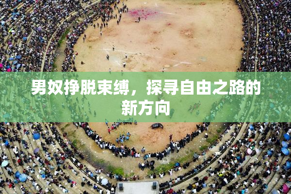 男奴挣脱束缚，探寻自由之路的新方向