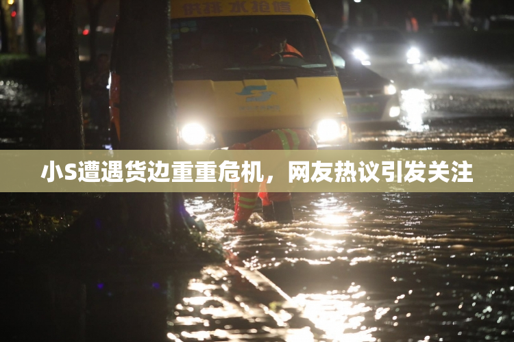 小S遭遇货边重重危机，网友热议引发关注
