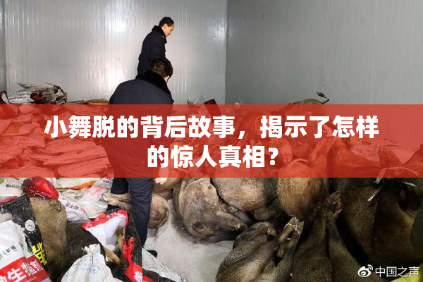 小舞脱的背后故事，揭示了怎样的惊人真相？