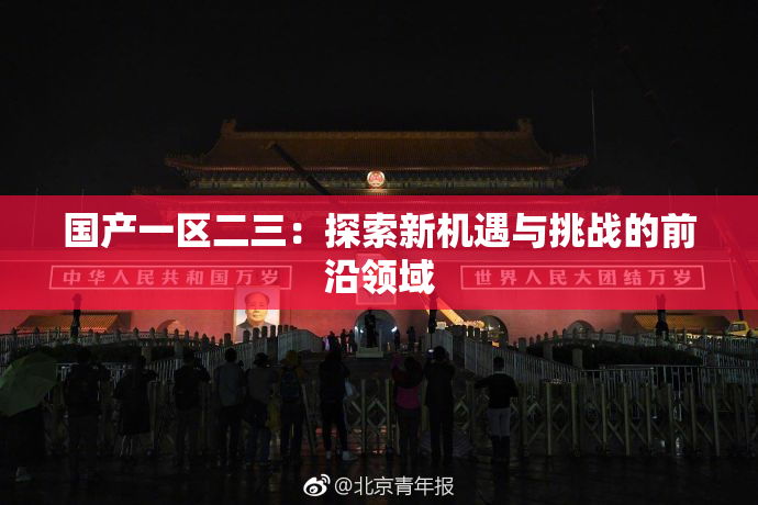 国产一区二三：探索新机遇与挑战的前沿领域