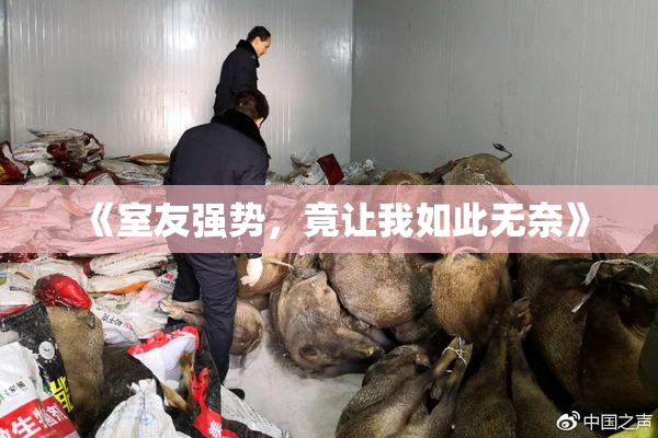 《室友强势，竟让我如此无奈》
