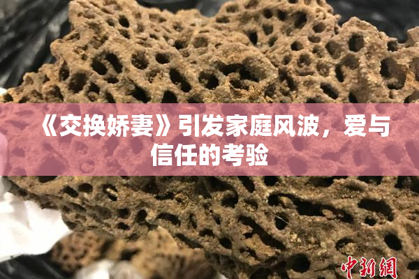 《交换娇妻》引发家庭风波，爱与信任的考验