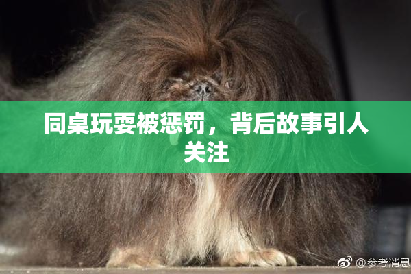 同桌玩耍被惩罚，背后故事引人关注