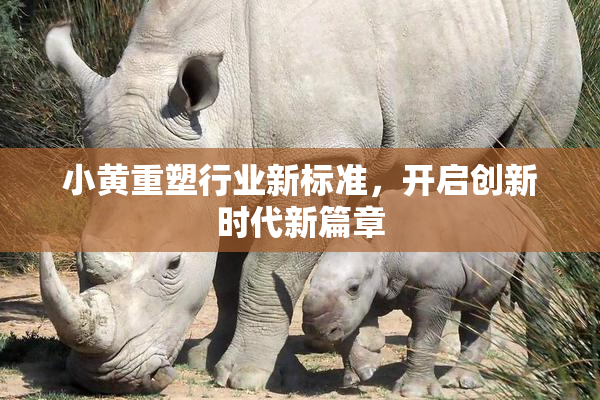 小黄重塑行业新标准，开启创新时代新篇章