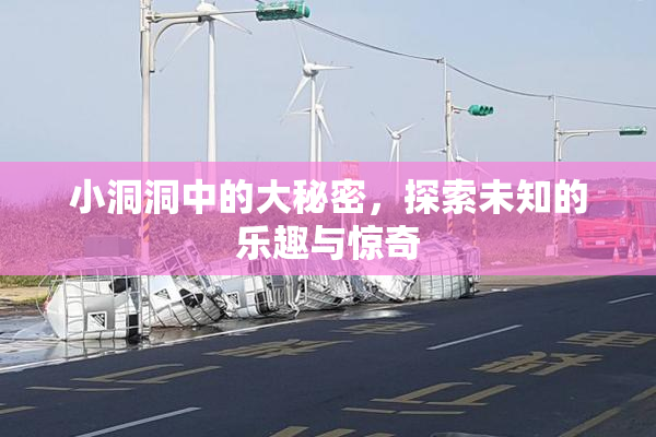 小洞洞中的大秘密，探索未知的乐趣与惊奇