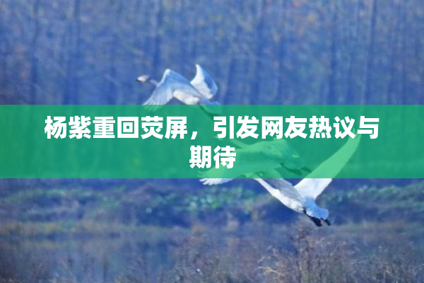 杨紫重回荧屏，引发网友热议与期待