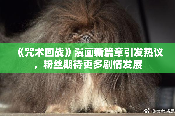 《咒术回战》漫画新篇章引发热议，粉丝期待更多剧情发展