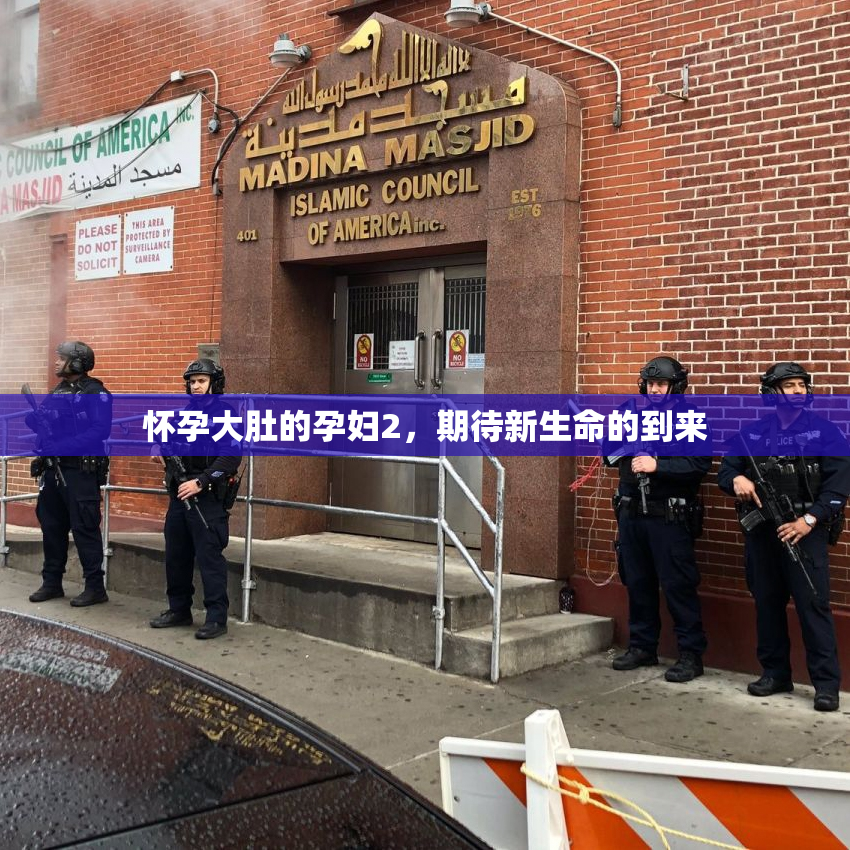 怀孕大肚的孕妇2，期待新生命的到来