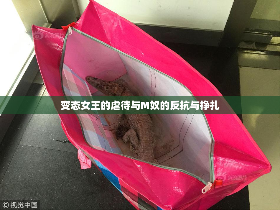 变态女王的虐待与M奴的反抗与挣扎