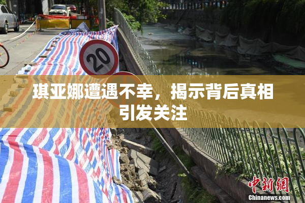 琪亚娜遭遇不幸，揭示背后真相引发关注