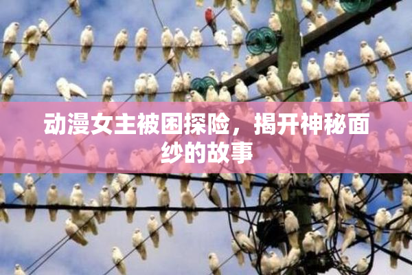 动漫女主被困探险，揭开神秘面纱的故事