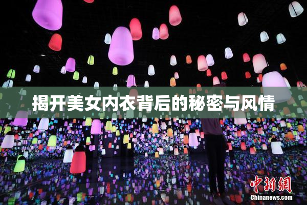 揭开美女内衣背后的秘密与风情